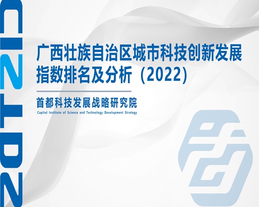 中国骚逼激情操逼视频【成果发布】广西壮族自治区城市科技创新发展指数排名及分析（2022）